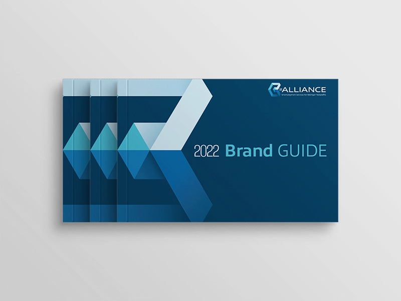 501 Alliance Brand Guide